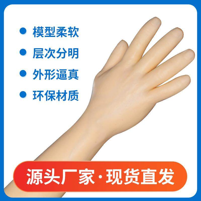 静脉输液穿刺模型 手臂模型 教学训练手臂模型 短手臂输液训练专,淘宝优惠券,粉丝福利购,淘宝优惠卷