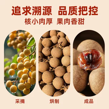 桂圆干2025新货福建特产特级龙眼500g[2元优惠券]-寻折猪