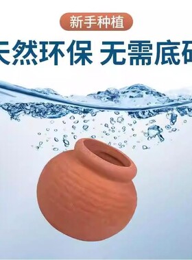 陶罐水草用鱼缸造景摆件水草定植陶罐陶瓷水草专用沉底环新手可用