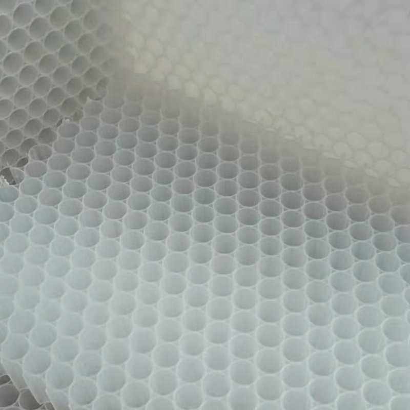 PP蜂窝复合塑蜂窝板夹芯材料PP蜂窝板超轻热塑性玻纤增强蜂窝芯,淘宝优惠券,粉丝福利购,淘宝优惠卷