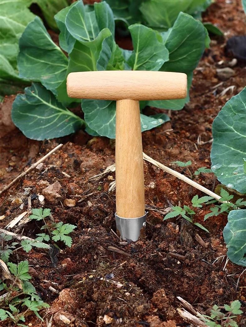 播种打洞器移苗追肥种菜不锈钢育苗菜籽多肉工具播籽花园种苗神器,淘宝优惠券,粉丝福利购,淘宝优惠卷