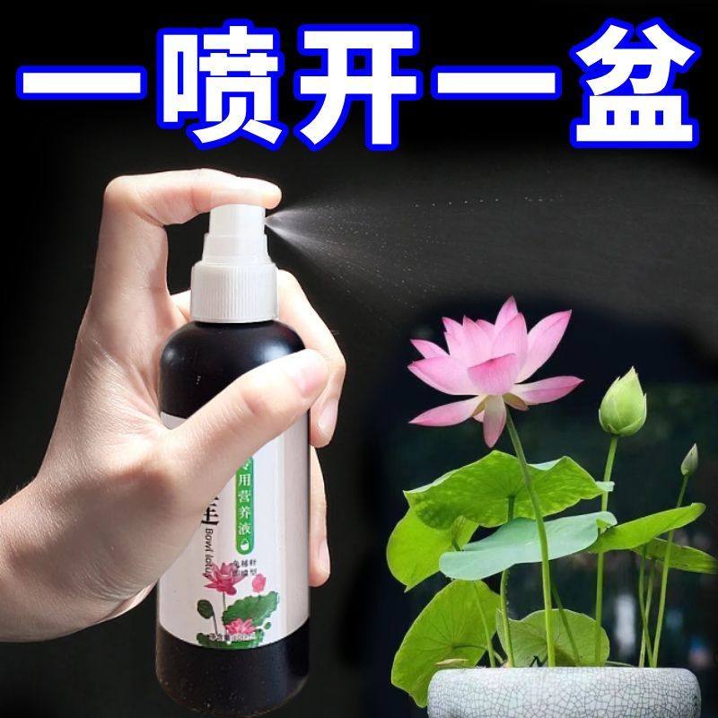 睡莲碗莲专用营养液肥料通用水溶肥发芽生根开花养殖荷花水养莲花,淘宝优惠券,粉丝福利购,淘宝优惠卷