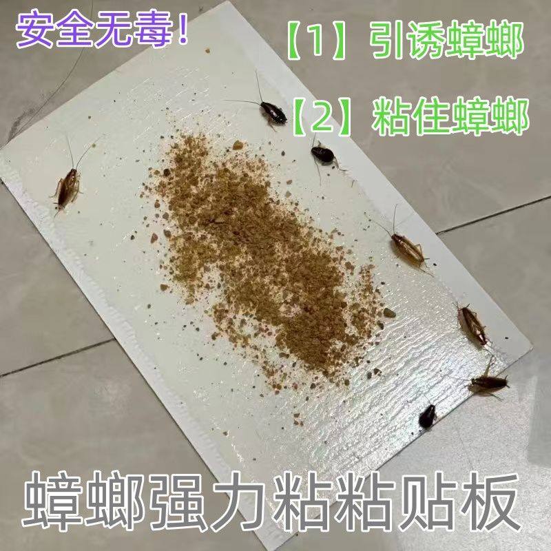 蟑螂贴强力粘灭蟑螂屋家用孕妇婴儿蟑螂板强力粘纸除驱捕捉板神器,淘宝优惠券,粉丝福利购,淘宝优惠卷
