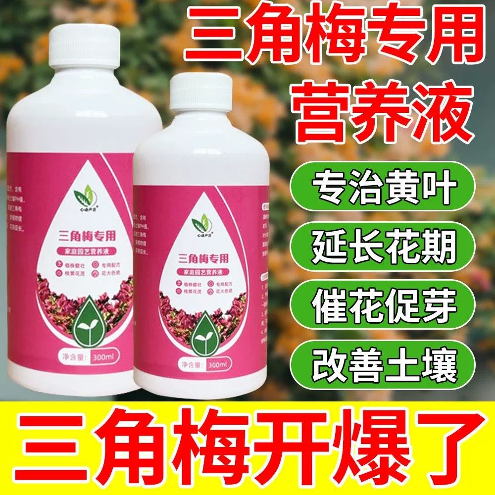 三角梅营养液专用催花养花通用型梅花盆栽家用花卉促开花液促开花,淘宝优惠券,粉丝福利购,淘宝优惠卷