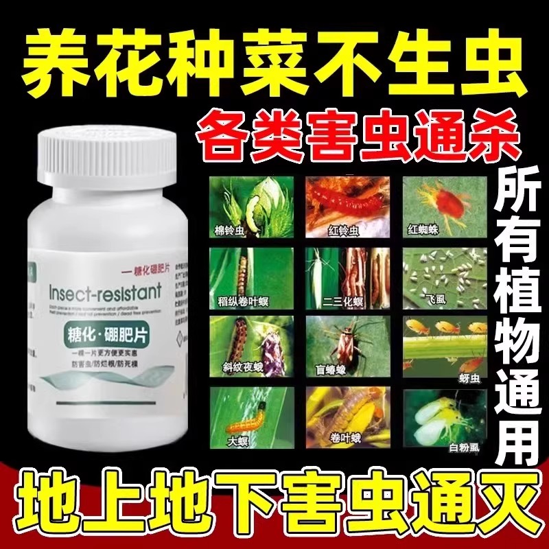 园艺防虫片驱虫除蓟马糖化硼肥片盆栽果花卉植物防烂根土壤养花 - 图1