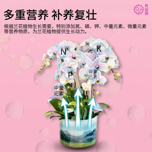 植物活菌粉兰花专用菌微生物菌剂养根壮根防烂根水溶肥兰菌粉肥料 - 图2