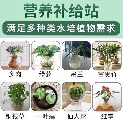 碗莲荷花净水片催芽睡莲开花黄叶叶面黑烂叶增肥水培绿植园艺肥料 - 图2