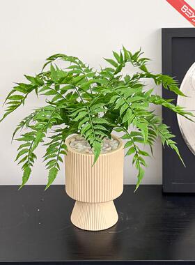 彷真绿色植物桌面假植物摆设过道办公室商场餐桌装饰花盆栽花艺摆