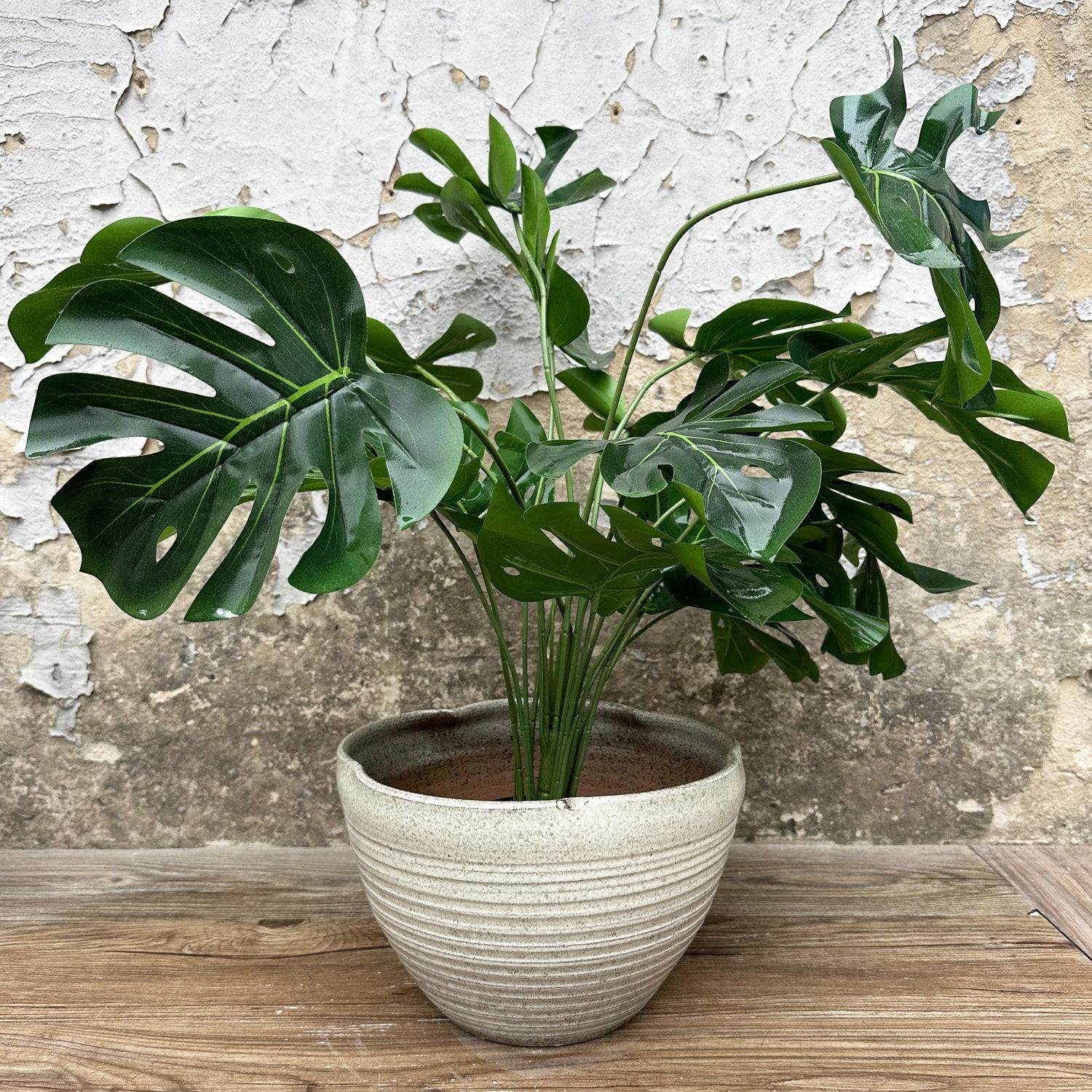 手工陶艺大口径粗陶罐子创意盆景盆栽拼盘乌龟缸覆古无孔水培花盆,淘宝优惠券,粉丝福利购,淘宝优惠卷