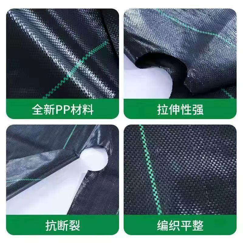 防草布农用抑草除草布地布地膜果树盖草布遮草地布透水透气打孔,淘宝优惠券,粉丝福利购,淘宝优惠卷