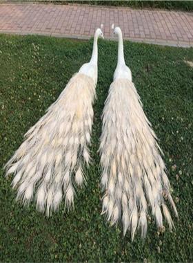 仿真孔雀摆件标本动物模型工艺品家居客厅橱窗装饰品婚庆摄影道具