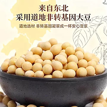 【仲医生】黄芪党参豆浆粉175g*2盒[14元优惠券]-寻折猪