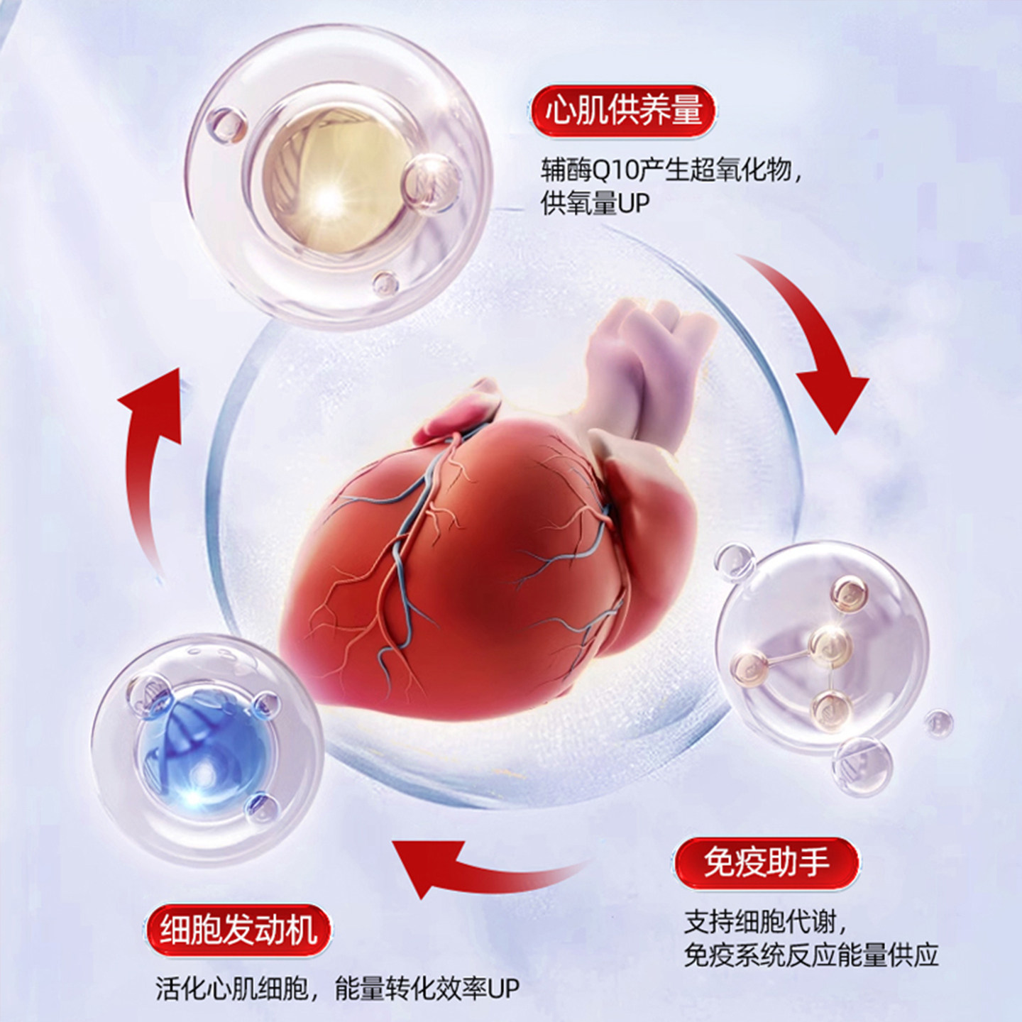 美国进口品牌辅酶q10胶囊成人心脏保健品中老年鱼油omega3高含量K,淘宝优惠券,粉丝福利购,淘宝优惠卷