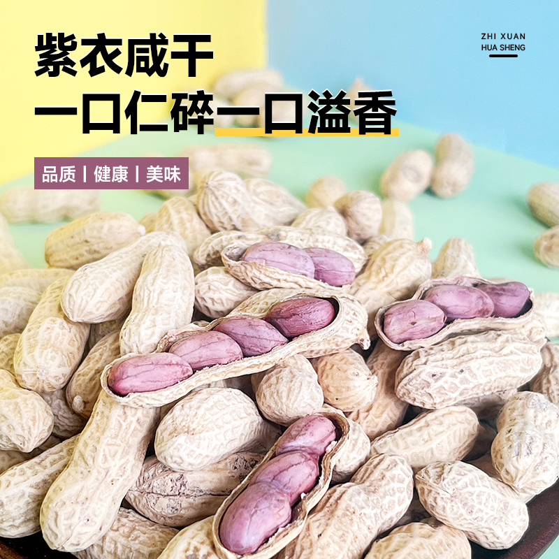 一斤装龙岩湿烤花生农家特产香仁美味咸干带壳熟营地聚会紫衣花生