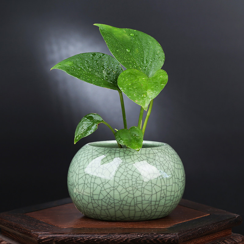 铜钱草草水养绿萝桌面水培办公桌哥窑花瓶陶瓷小花盆无孔专用器皿,淘宝优惠券,粉丝福利购,淘宝优惠卷