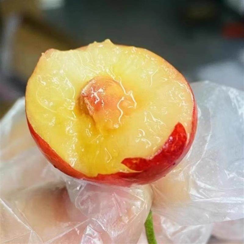 礼盒装智利空运黄金车厘子雷尼尔大樱桃车厘子2-4J顺丰脆甜新鲜,淘宝优惠券,粉丝福利购,淘宝优惠卷