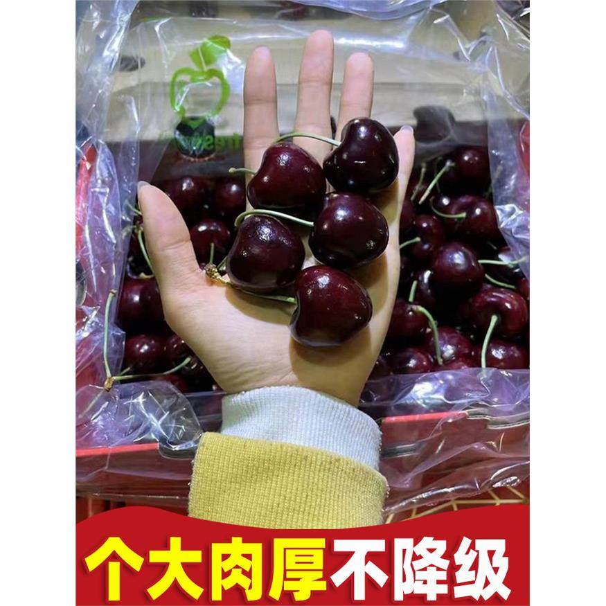 智利车厘子5斤5j新鲜水果包邮当季整箱进口大樱桃4j孕妇高档礼盒,淘宝优惠券,粉丝福利购,淘宝优惠卷