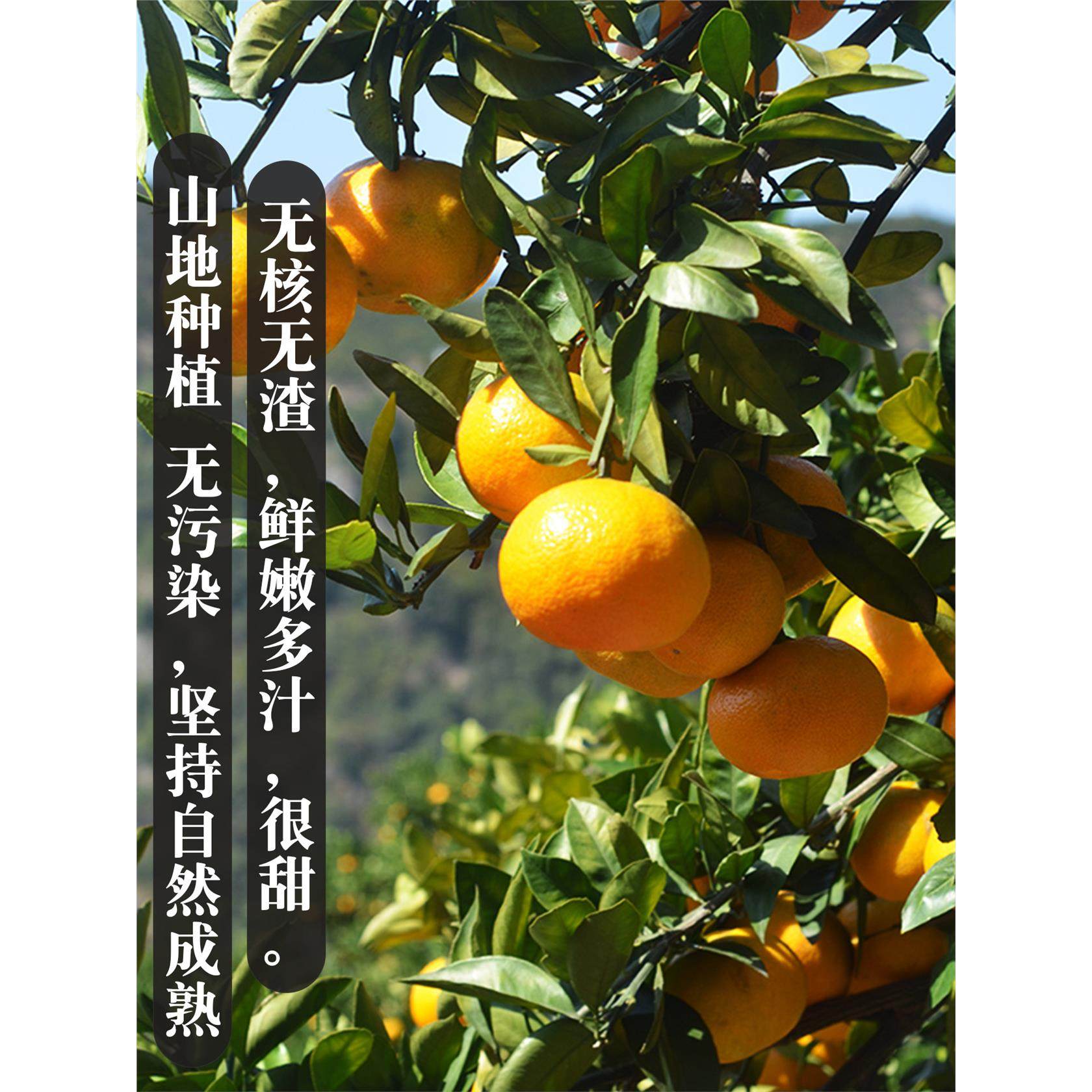 【甜】正宗涌泉蜜桔临海桔子10斤整箱当季新鲜水果台州黄岩橘子,淘宝优惠券,粉丝福利购,淘宝优惠卷