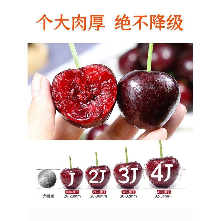 智利车厘子5斤5j新鲜水果包邮当季整箱进口大樱桃4j孕妇高档礼盒,淘宝优惠券,粉丝福利购,淘宝优惠卷