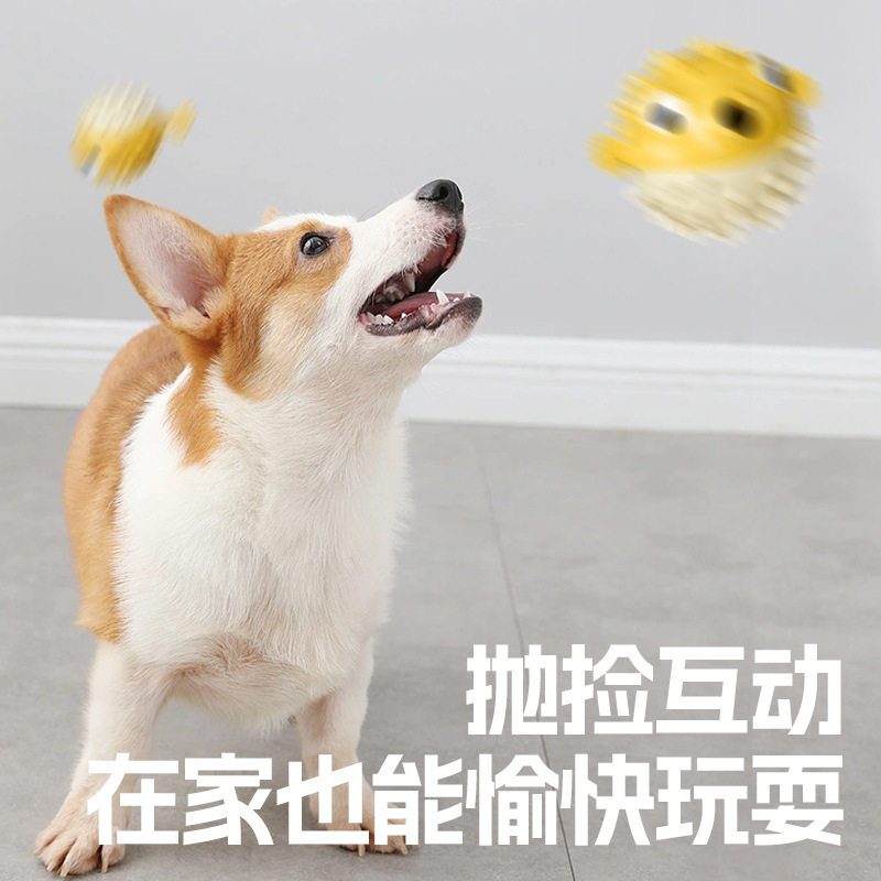 漏食玩具狗狗益智藏食球宠物嗅闻互动磨牙器小狗耐咬慢食丰容玩具,淘宝优惠券,粉丝福利购,淘宝优惠卷