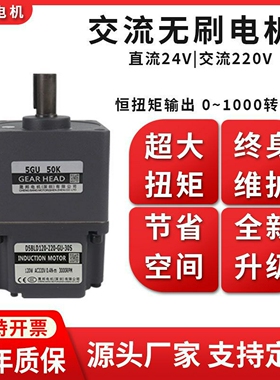 直流无刷电机大功率恒扭矩高压220V交流微型单相调速减速直角马达