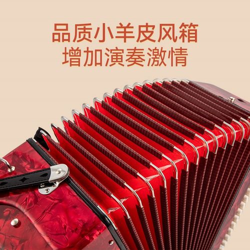 贝乐风lzfin巴扬手风琴9贝斯音簧初学演奏 - 图1
