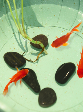 荷花风生水起流水喷泉摆件客厅书房玄关茶室桌面循环水装饰乔迁礼