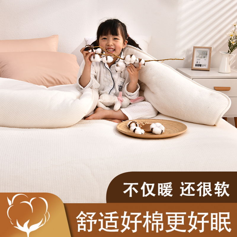 新疆棉花被子被芯冬天加厚保暖被芯棉絮垫被褥子棉胎学生棉被铺底 - 图2