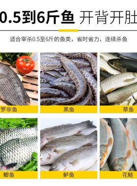 杀鱼机器全自动去鳞开背