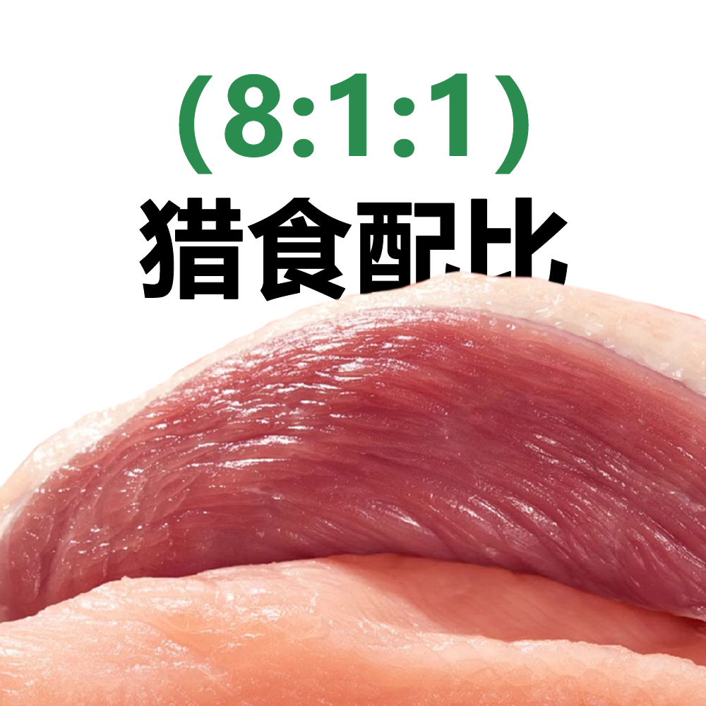 奈斯佰特猫主食罐头高适口性高肉无谷营养湿粮170g*6罐,淘宝优惠券,粉丝福利购,淘宝优惠卷