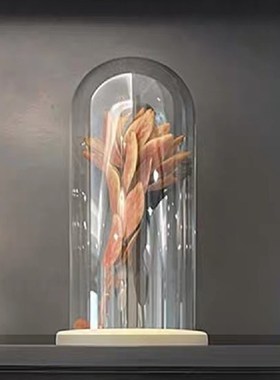 现代样板间书房书柜植物主题浮游花瓶花艺摆件试管干花标本装饰品