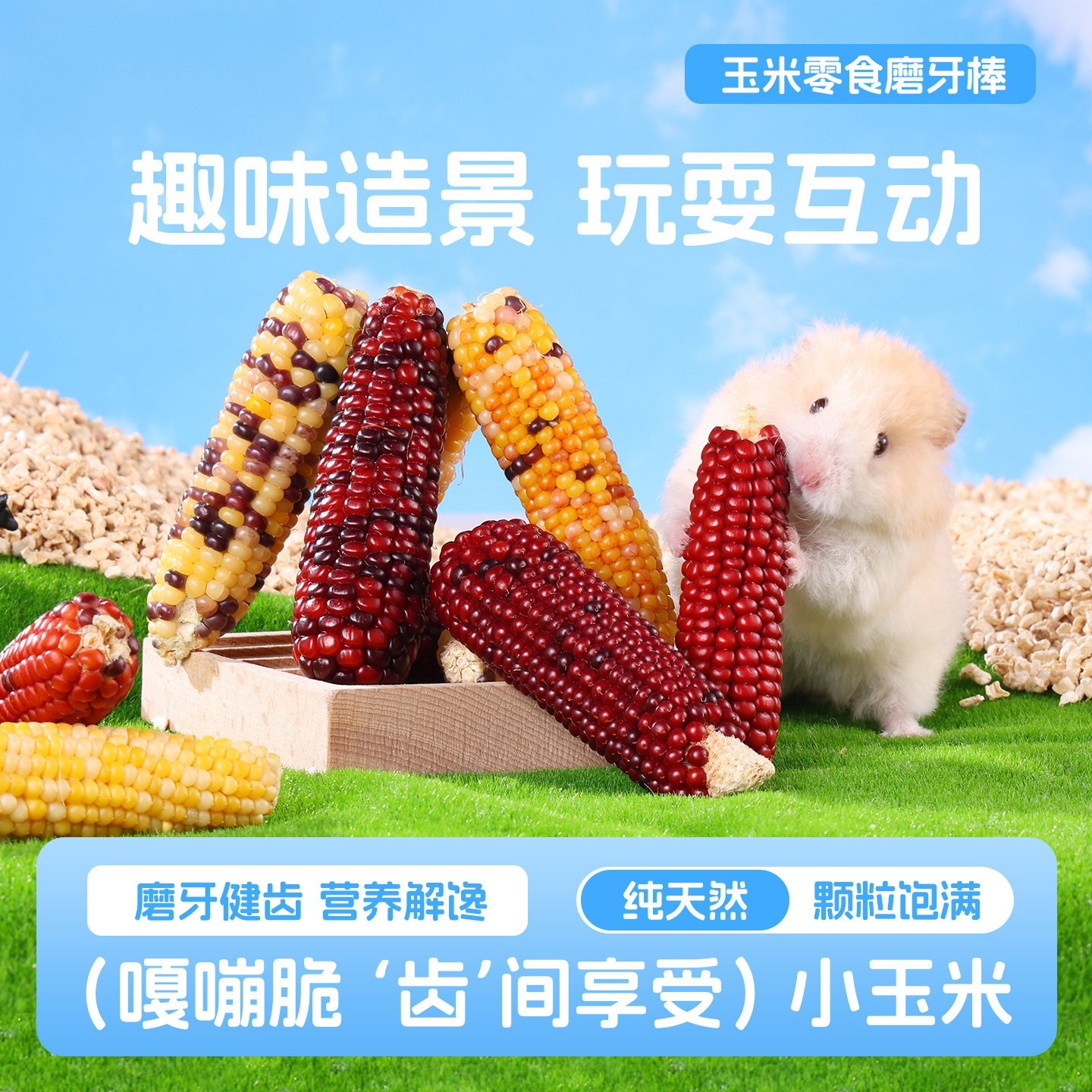 仓鼠玉米磨牙棒金丝熊专用零食粮食生活用品解闷玩具互动玩耍解闷,淘宝优惠券,粉丝福利购,淘宝优惠卷