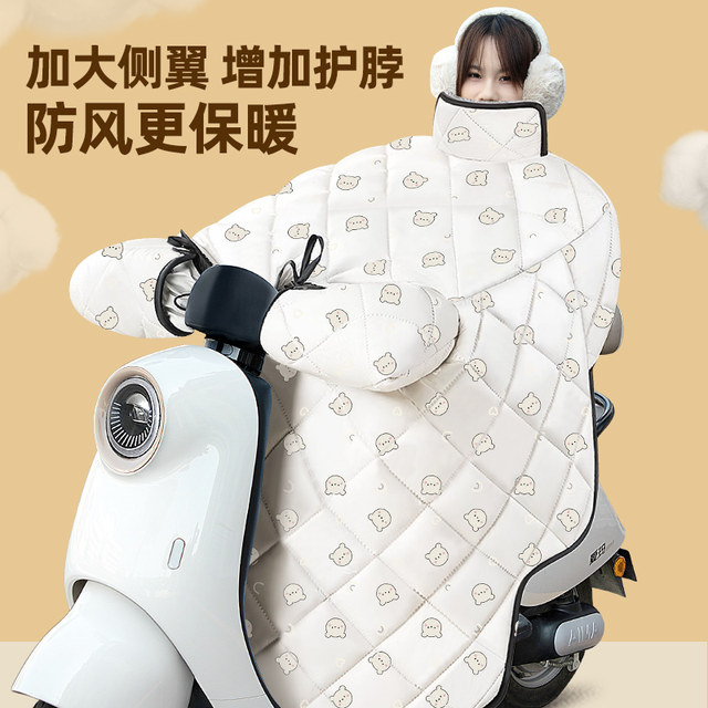 Wind shielding in winter