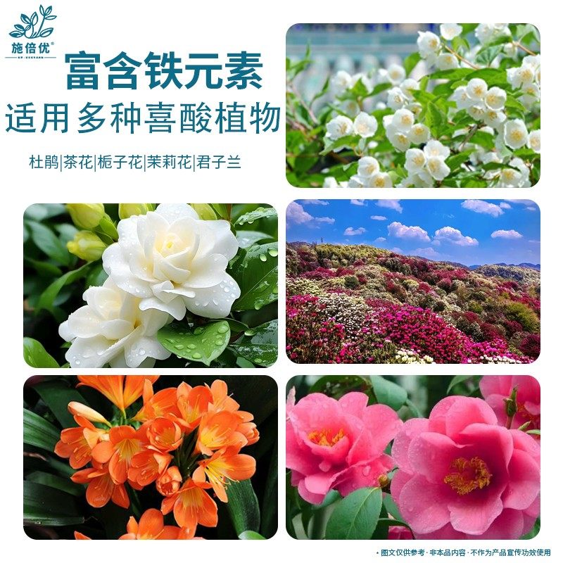 施倍优硫酸亚铁柠檬酸花肥料喜酸植物补酸排碱补铁栀子花绣球肥料,淘宝优惠券,粉丝福利购,淘宝优惠卷