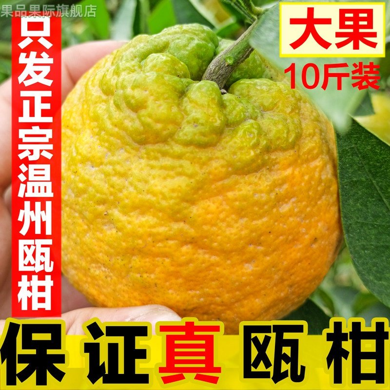 温州正宗三洋湿地瓯柑 新鲜水果橘子桔子丑橘丑八怪小果欧柑5斤,淘宝优惠券,粉丝福利购,淘宝优惠卷