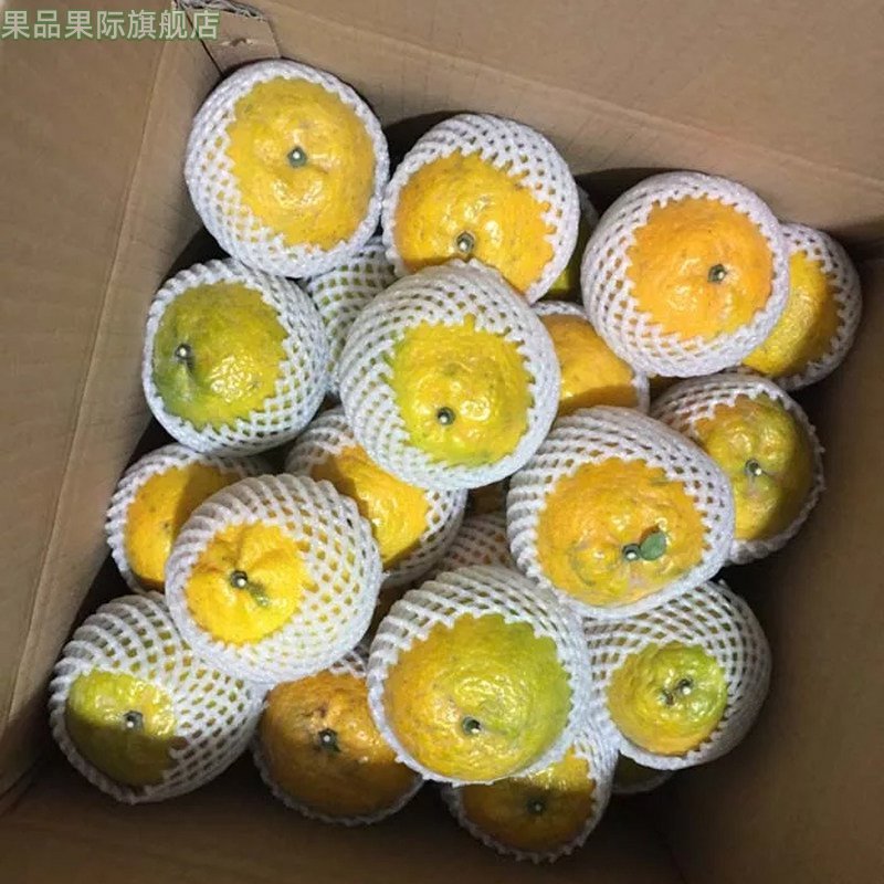 温州正宗三洋湿地瓯柑 新鲜水果橘子桔子丑橘丑八怪小果欧柑5斤,淘宝优惠券,粉丝福利购,淘宝优惠卷