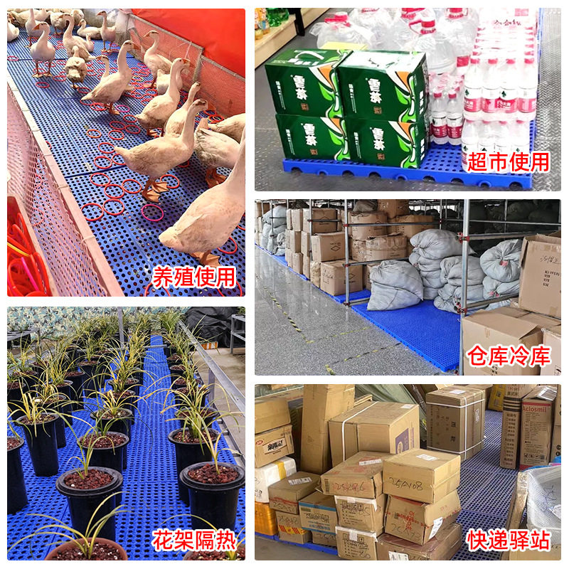 防潮垫板塑料垫板网格防潮板工厂仓库超市冷冻库仓板养殖塑胶垫板,淘宝优惠券,粉丝福利购,淘宝优惠卷