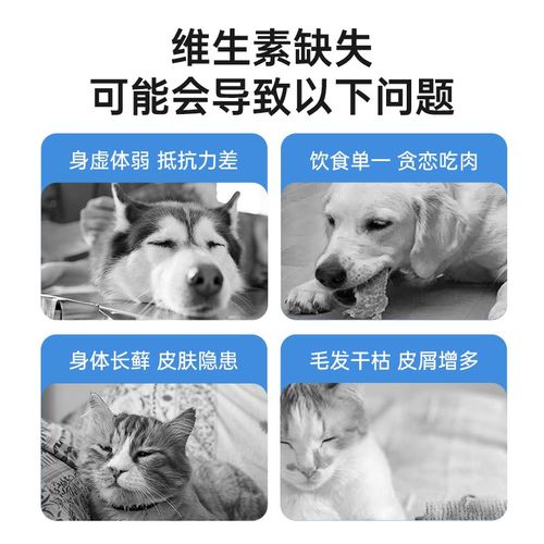 强生宠儿猫咪复合维生素片狗狗营养膏维Ab宠物专用多维提高免疫力 - 图0