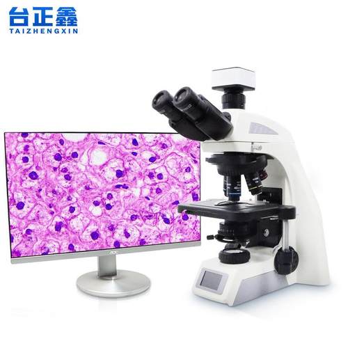 三目生物视频显微镜科研级教学微生物细菌细胞分析高清光学显微镜 - 图3