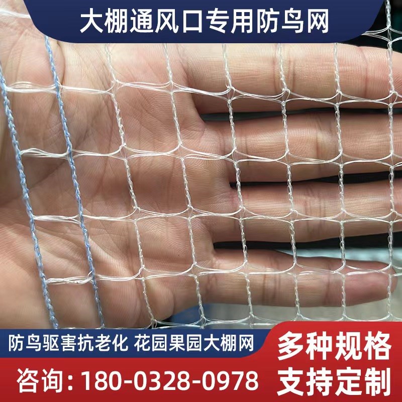 防鸟网果蔬大棚出风口防鸟网果园防鸟网 - 图0