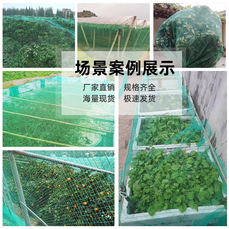 防鸟网果蔬大棚出风口防鸟网果园防鸟网 - 图2