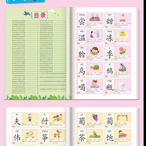 【下单立减50】幼儿认字识字大王3000字幼儿园宝宝早教启蒙书KP - 图3