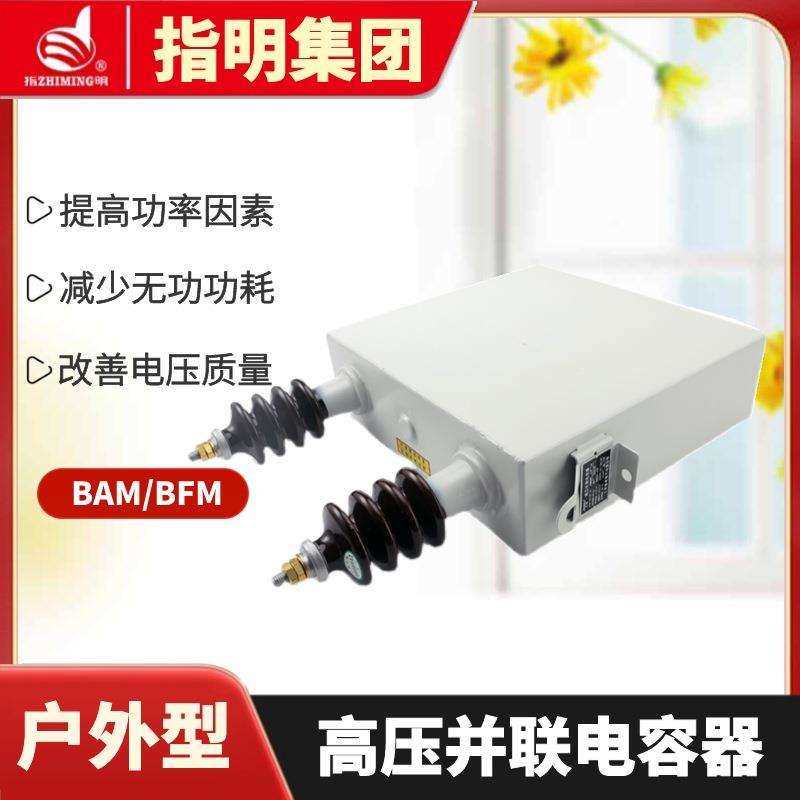 指明集团单相高压电力电容器BFM11√3-100-1W高压并联电容器12kv - 图2