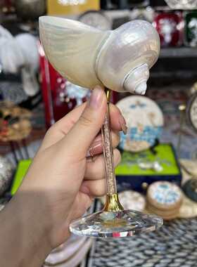 YH—【瑰丽海螺】东南亚深海贝壳手工杯装饰品摆件