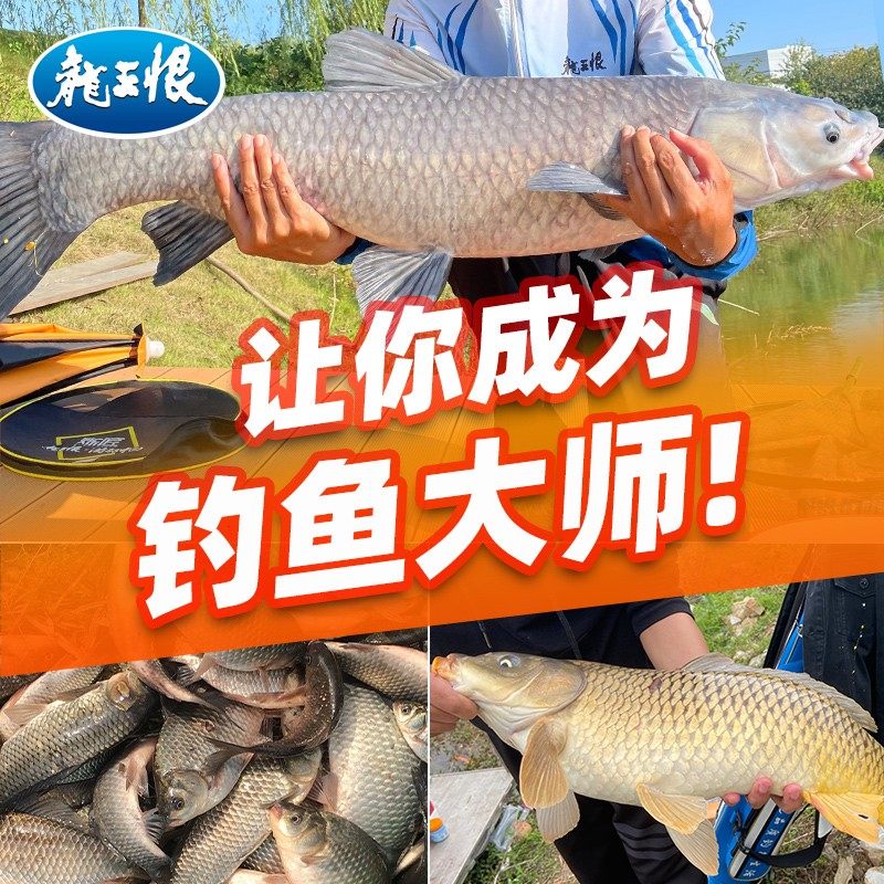 【300g蓝鲫3包+千里香】龙王恨野战蓝鲫鱼饵香腥味型钓鱼用具饵料,淘宝优惠券,粉丝福利购,淘宝优惠卷