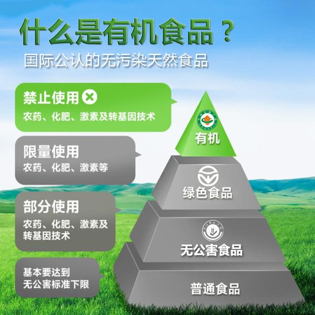 鲜口康内蒙古全胚芽双有机大颗粒纯燕麦片速食营养早餐饱腹感代餐 - 图2