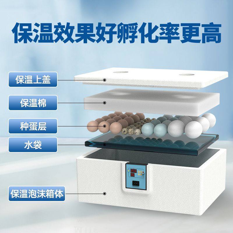 全自动智能水床孵化器鸡鸭鹅鸟类孵蛋器家用小型孵化机自动控温,淘宝优惠券,粉丝福利购,淘宝优惠卷