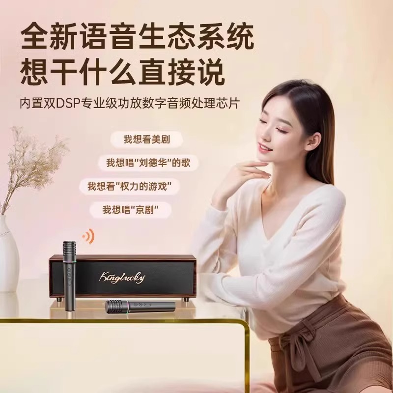 Jinyun V1 Bluetooth speaker home ktv audio set