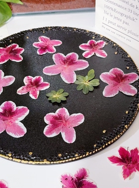 百合杜鹃压花干花天然粉白渐变真花标本DIY滴胶手机壳团扇材料