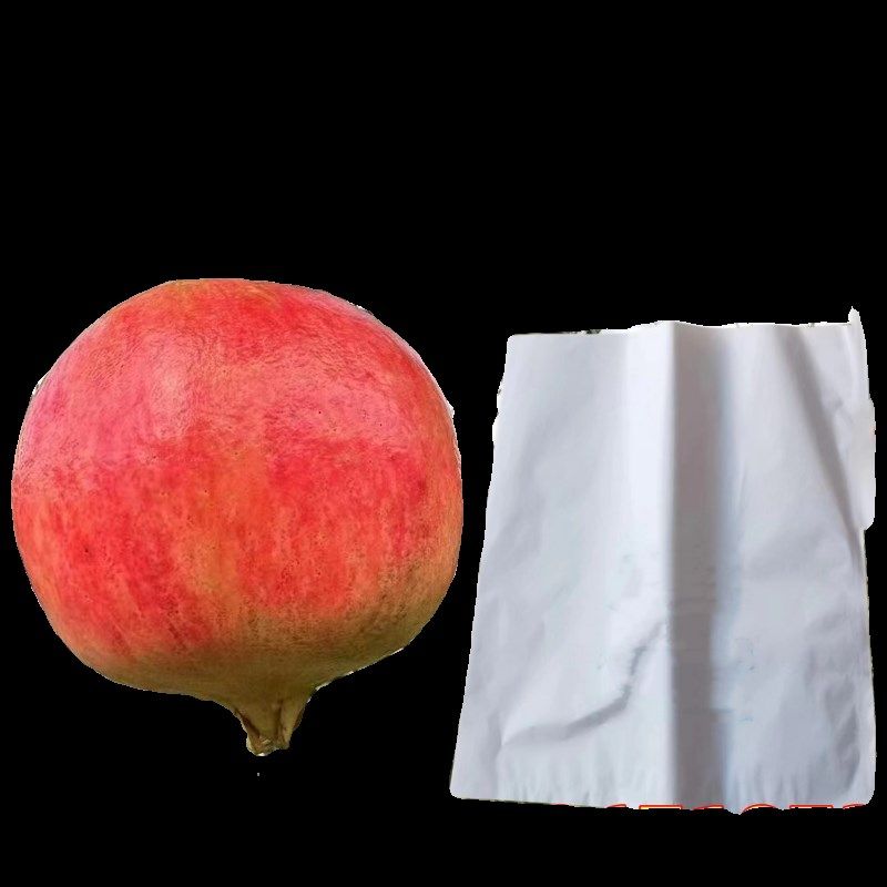 石榴袋专用套袋露天防晒防虫番石榴套袋柑橘脐橙套袋水果通用果,淘宝优惠券,粉丝福利购,淘宝优惠卷